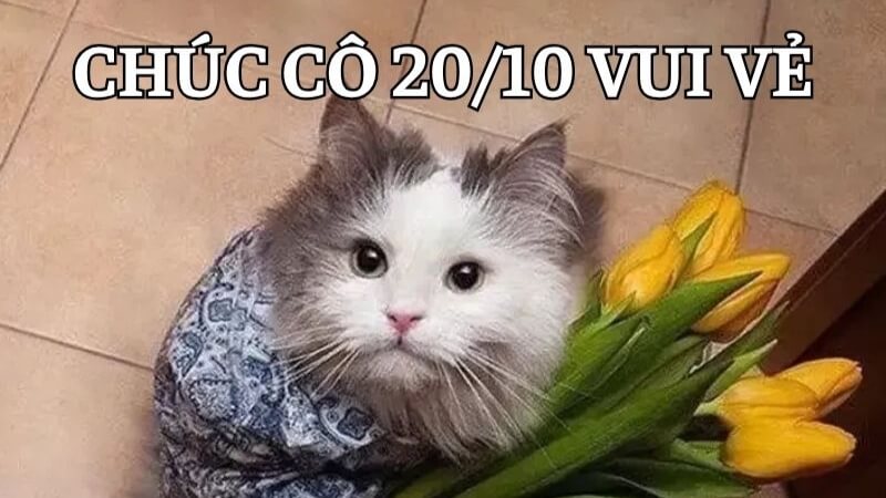 Meme 20/10 tặng cô giáo 1