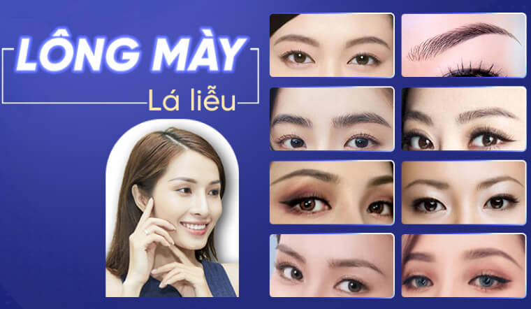 Lông mày lá liễu là gì? Tướng số, vận mệnh và cách sở hữu