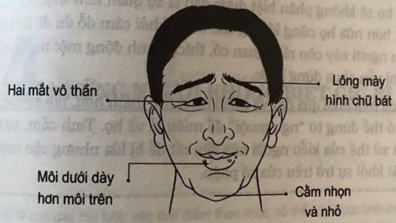 Lông mày hình chữ bát là tốt hay xấu? Lông mày hình chữ bát là tốt hay xấu?