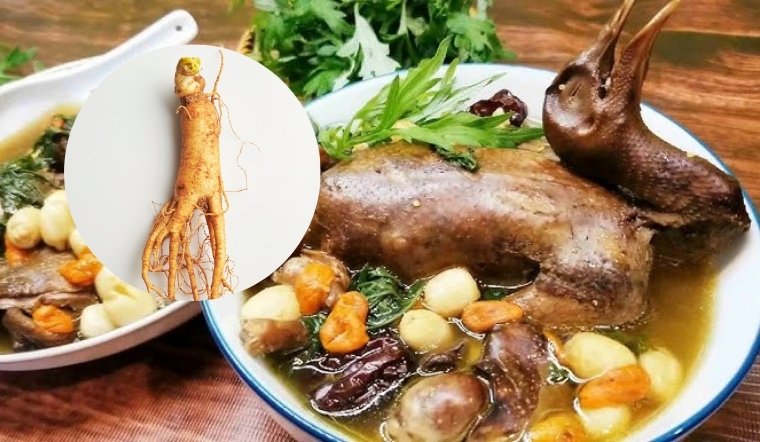 Cách nấu bồ câu tiềm sâm bổ dưỡng tốt cho sức khỏe