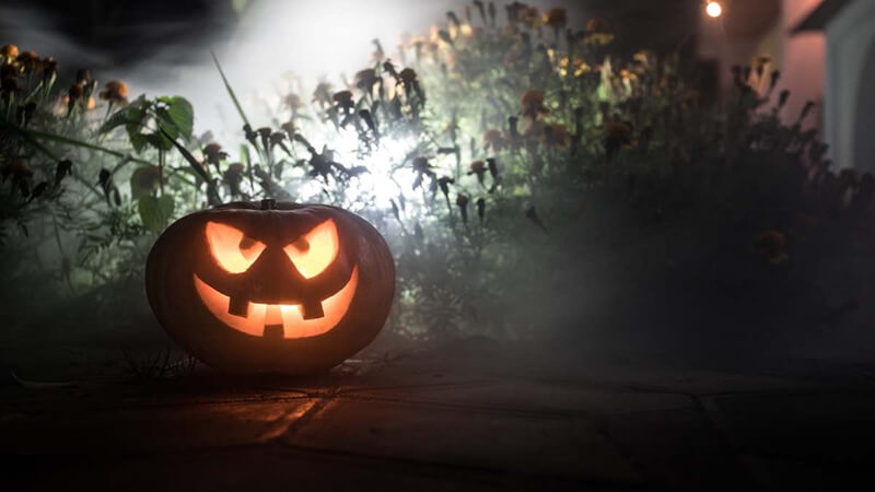 Hình nền Halloween cho máy tính chủ đề bí ngô 5 Hình nền Halloween cho máy tính chủ đề bí ngô 5