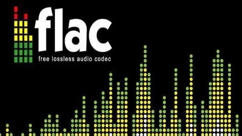 FLAC là định dạng phổ biến nhất hiện nay FLAC là định dạng phổ biến nhất hiện nay