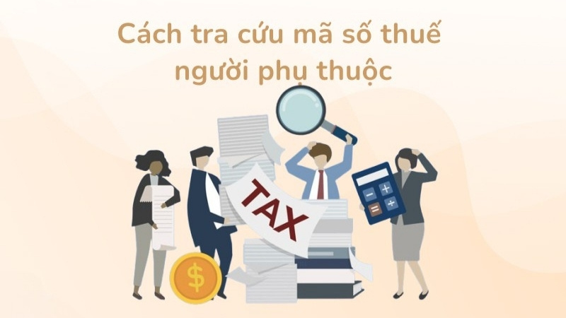 Tại sao cần tra cứu mã số thuế người phụ thuộc? Tại sao cần tra cứu mã số thuế người phụ thuộc?