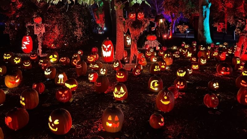 Halloween là đêm trước Ngày lễ Các Thánh Halloween là đêm trước Ngày lễ Các Thánh
