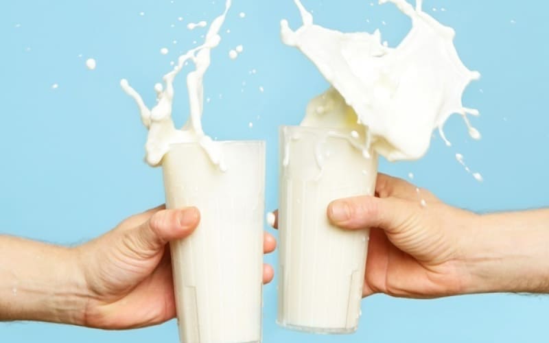 Uống sữa tươi thanh trùng TH true MILK có lợi ích gì? Uống sữa tươi thanh trùng TH true MILK có lợi ích gì?