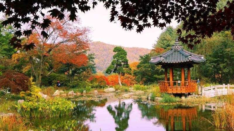 Vườn Garden of Morning Calm thuộc tỉnh Gyeonggi Vườn Garden of Morning Calm thuộc tỉnh Gyeonggi