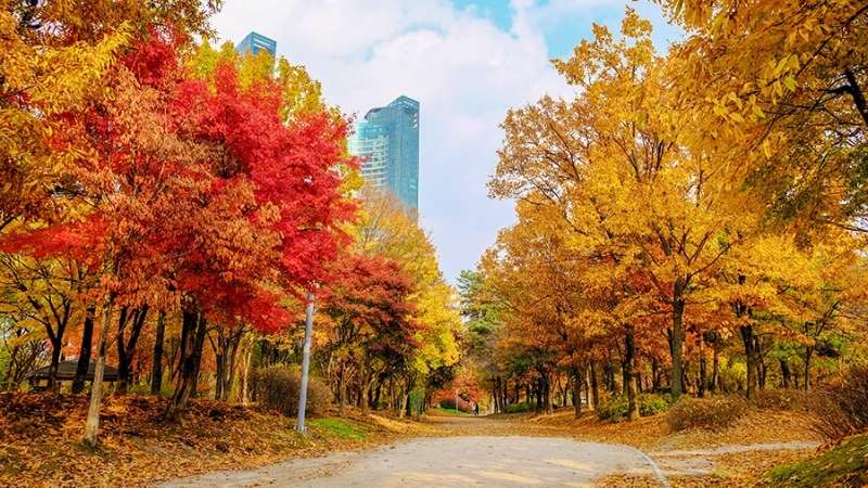 Seoul Forest thuộc Seoul Seoul Forest thuộc Seoul