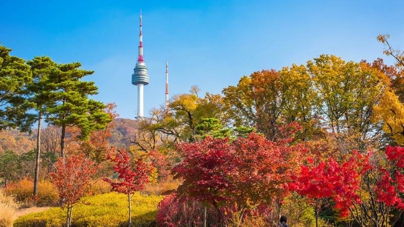 Núi Namsan và Tháp N Seoul ở Seoul Núi Namsan và Tháp N Seoul ở Seoul