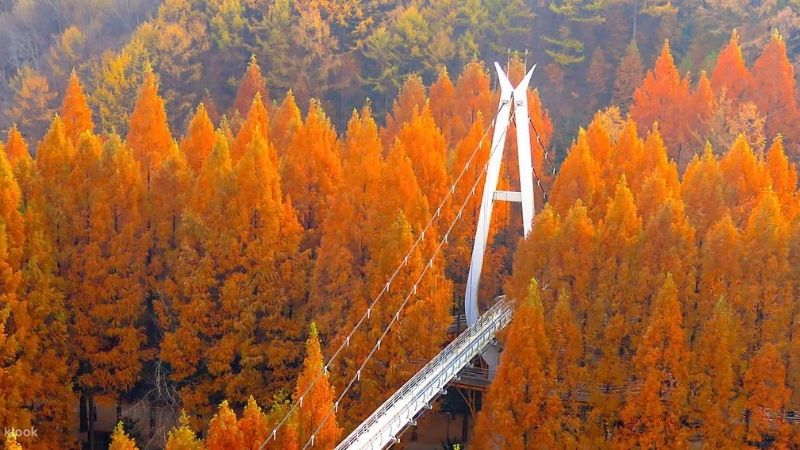 Núi Jangtaesan gần Daejeon Núi Jangtaesan gần Daejeon