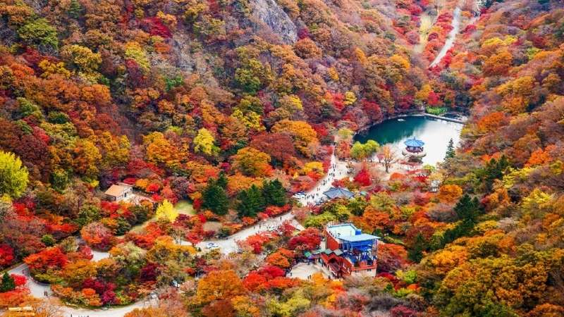 Vườn quốc gia Naejangsan gần Jeonju Vườn quốc gia Naejangsan gần Jeonju