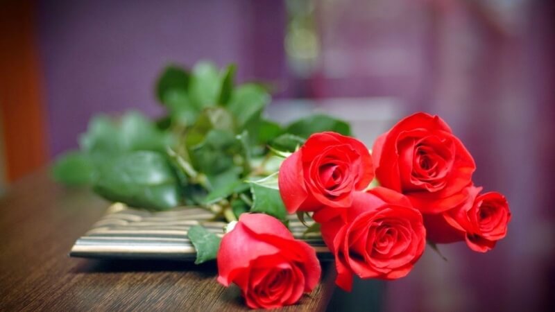 Bó hoa tulip thanh nhã thay lời tri ân sâu sắc.