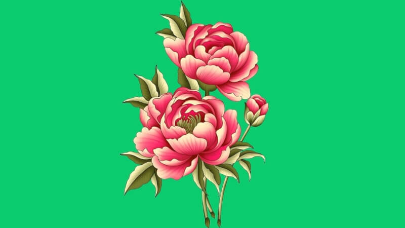 Hình hoa vẽ tay mang gam màu tươi sáng, đầy sức sống.