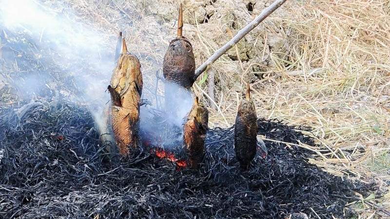 Cá thòi lòi nướng trui Cá thòi lòi nướng trui