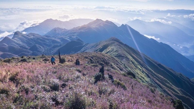 Thời điểm lý tưởng nhất để trekking Tà Chì Nhù là từ tháng 10 đến tháng 3 năm sau