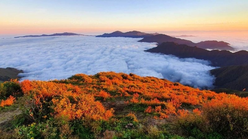 Tà Chì Nhù là một đỉnh núi thuộc huyện Trạm Tấu, tỉnh Yên Bái