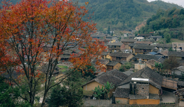 Khám phá làng Lô Lô Chải đẹp tựa cổ tích trên cao nguyên đá Hà Giang