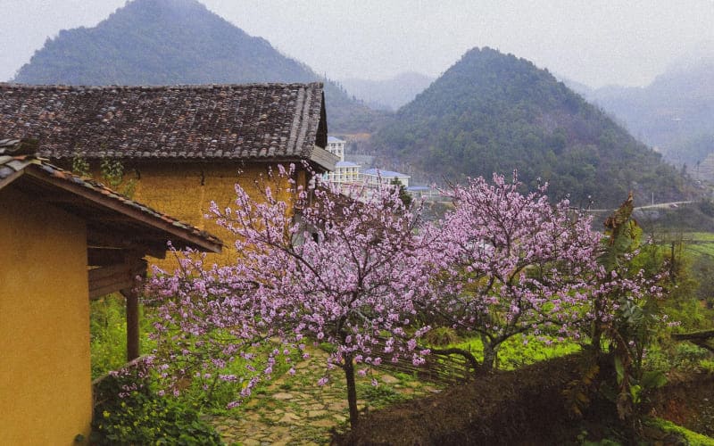 Thời điểm thích hợp để du lịch Làng Lô Lô Chải