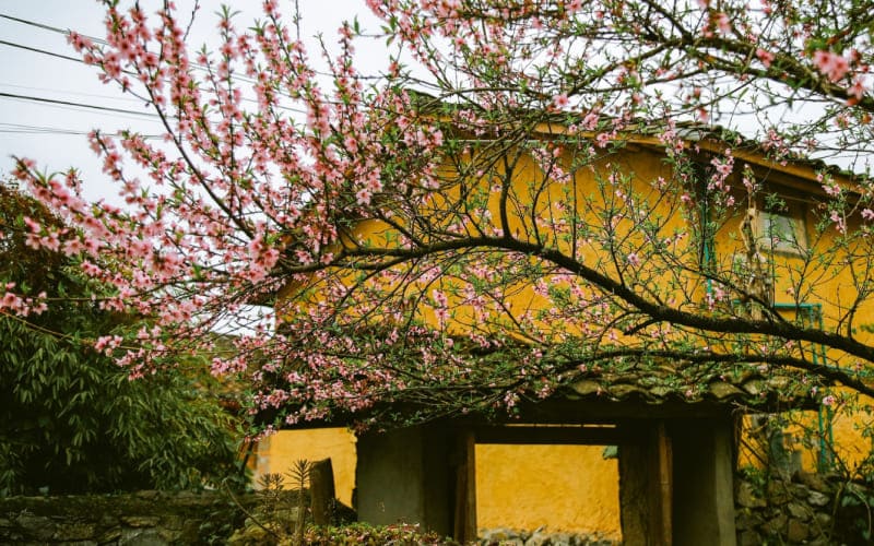 Cách di chuyển đến Làng Lô Lô Chải