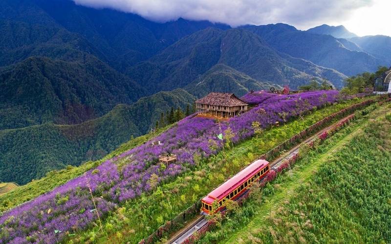 Trên đường tới bản Tả Van, du khách có thể check-in tại Thung lũng Mường Hoa, Cầu Mây và bản Tả Phìn