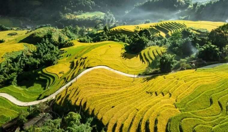 Khám phá bản Tả Van Sapa: Vẻ đẹp bình yên giữa thiên nhiên Tây Bắc