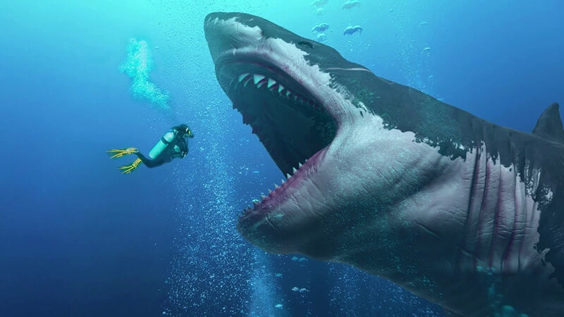 Cá mập Megalodon là gì