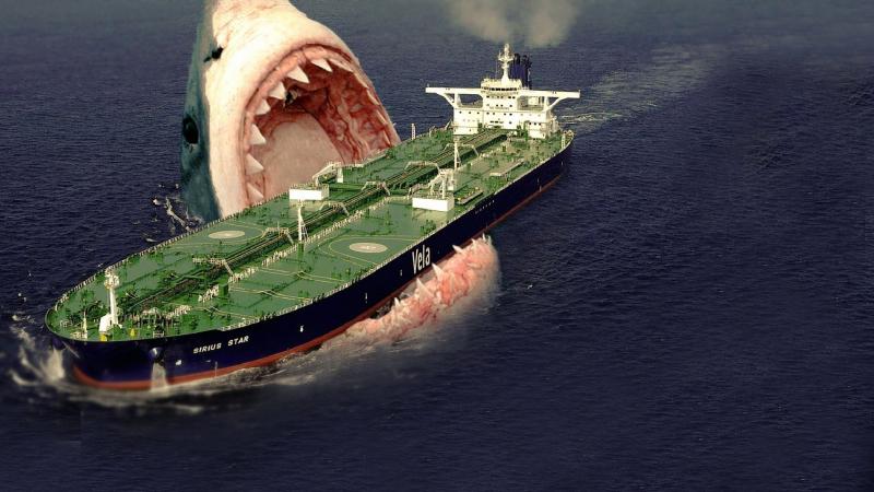 Liệu Megalodon có còn sống?
