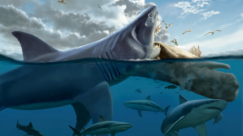 Megalodon sống ở đâu và ăn gì?