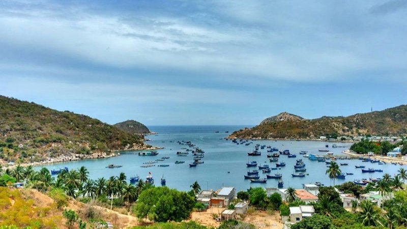 Vườn Quốc gia Núi Chúa có Rùa Xanh lên bãi cát sinh sản hàng năm