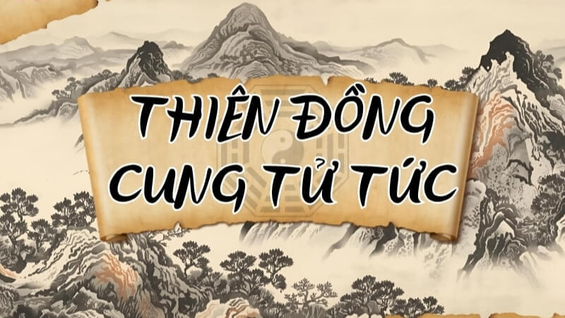 Thiên Đồng – Cung Tử Tức Thiên Đồng – Cung Tử Tức