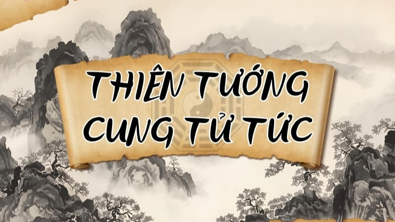 Thiên Tướng – Cung Tử Tức Thiên Tướng – Cung Tử Tức