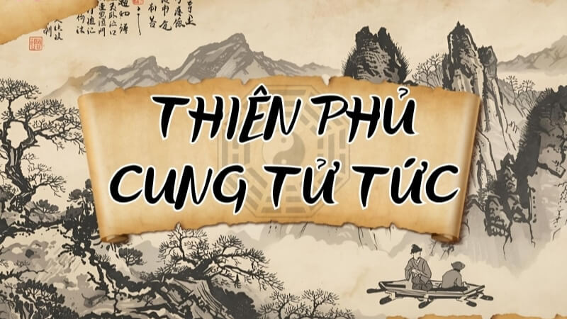 Thiên Phủ – Cung Tử Tức Thiên Phủ – Cung Tử Tức