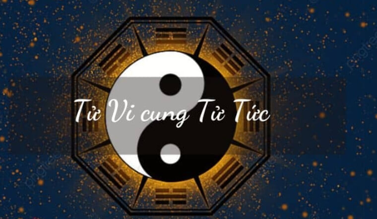 Cung Tử Tức là gì? Giải mã vận mệnh lá số tử vi cung Tử Tức