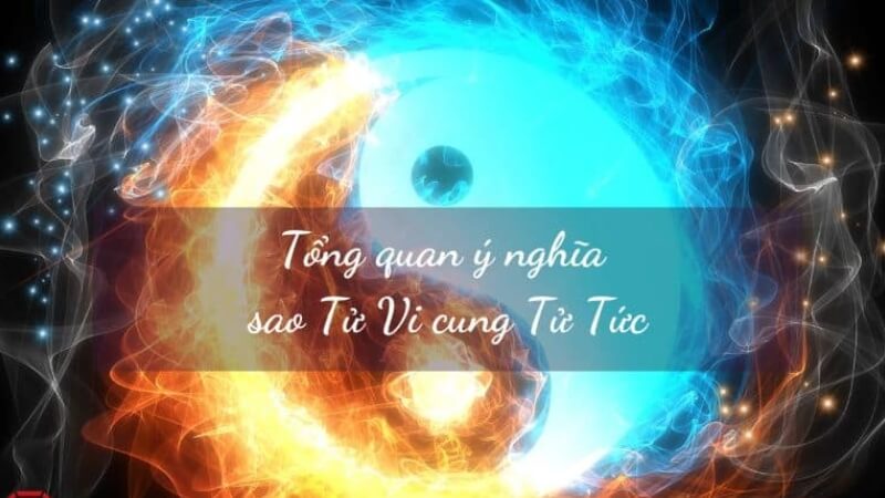 Ý nghĩa cung Tử Tức trong lá số tử vi Ý nghĩa cung Tử Tức trong lá số tử vi