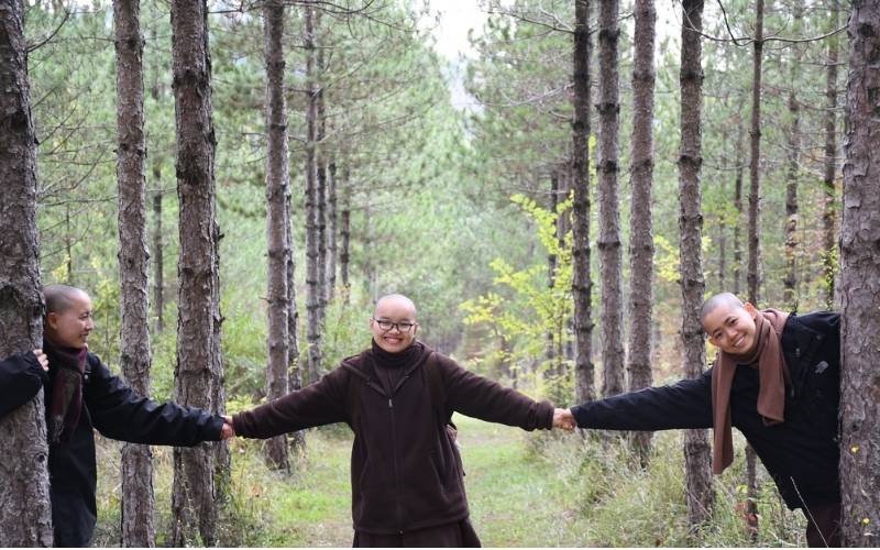 Hung tinh trong cung Huynh Đệ cảnh báo mâu thuẫn, chia ly và bất hòa gia đình