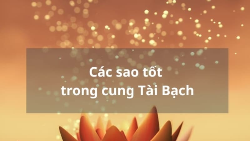 Các sao tốt trong cung Tài Bạch