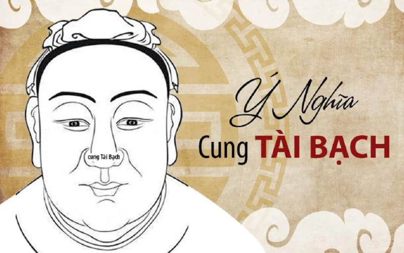 Ý nghĩa cung Tài Bạch trong lá số tử vi