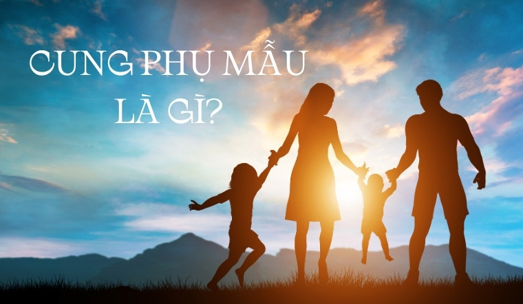 Cung Phụ Mẫu là gì? Ảnh hưởng của các sao ở cung Phụ Mẫu