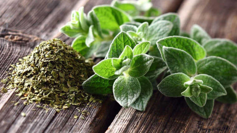 Các loại lá thơm sấy khô (lá oregano, hương thảo...)