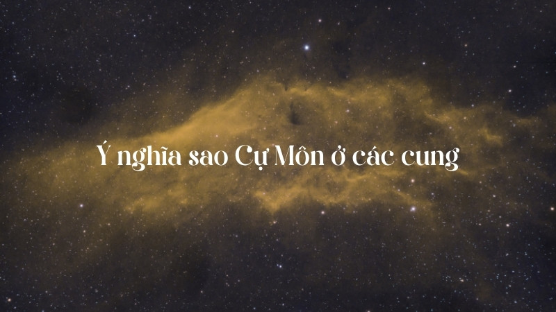 Ý nghĩa sao Cự Môn ở các cung khác 3