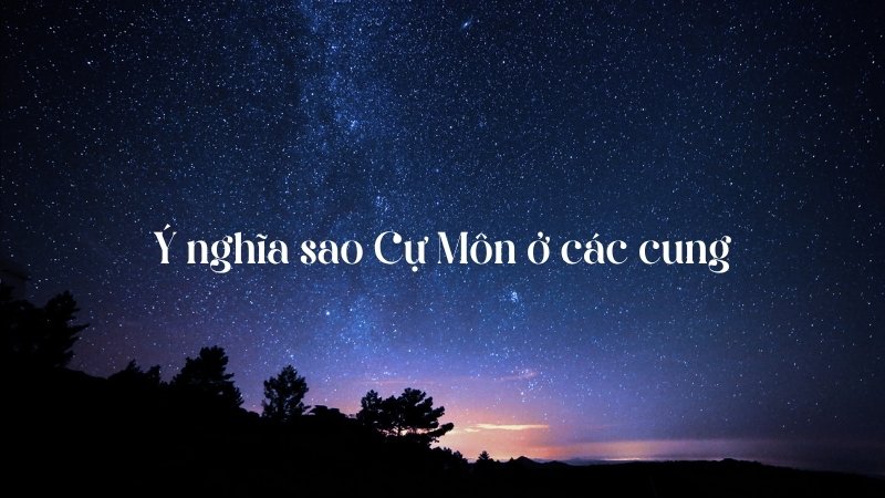 Ý nghĩa sao Cự Môn ở các cung khác 2