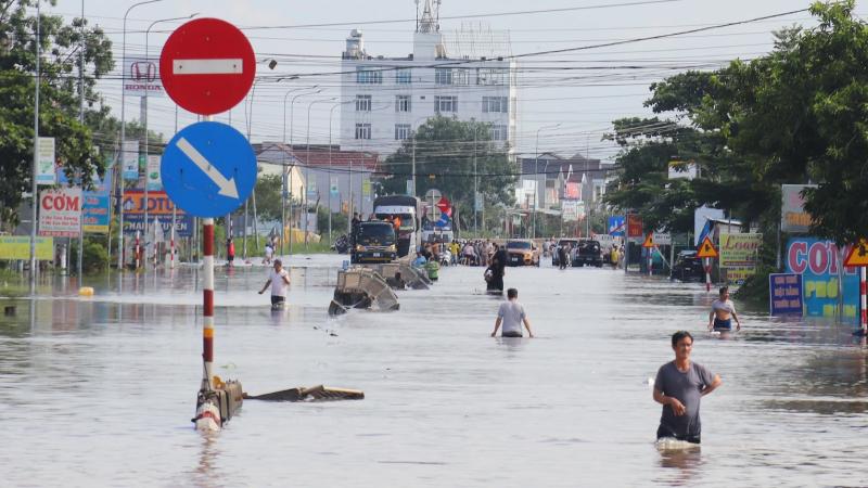 Nguyên nhân do con người