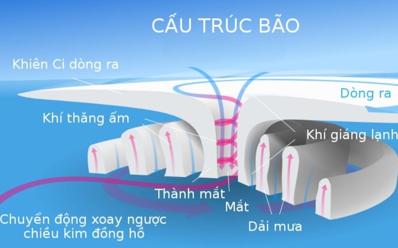 Cấu trúc bão gồm tâm bão, thành mắt và mây đối lưu sinh năng lượng