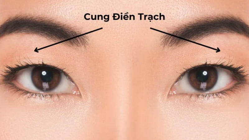 Cung Điền Trạch là gì?