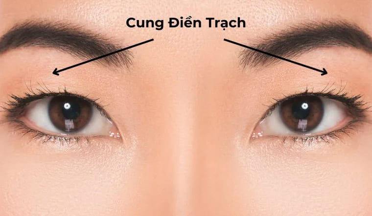 Cung Điền Trạch là gì? Phân tích ý nghĩa của Cung Điền Trạch