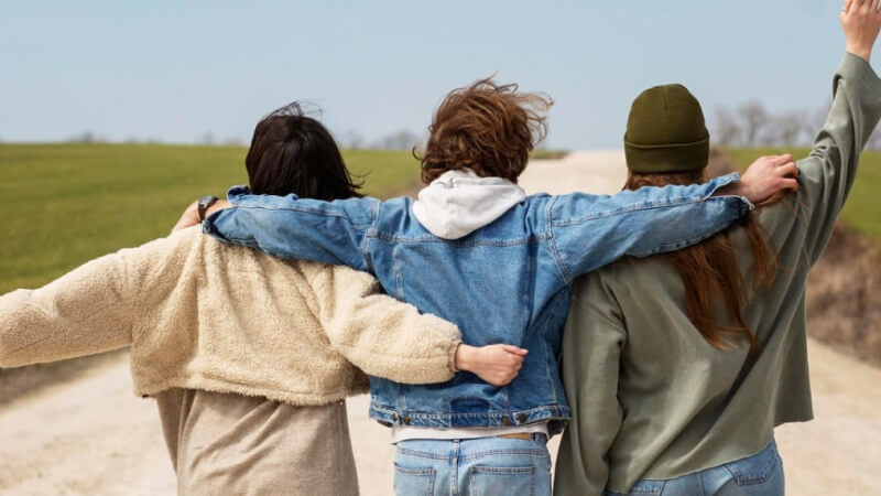 Sao Thiên Việt tại cung Nô Bộc