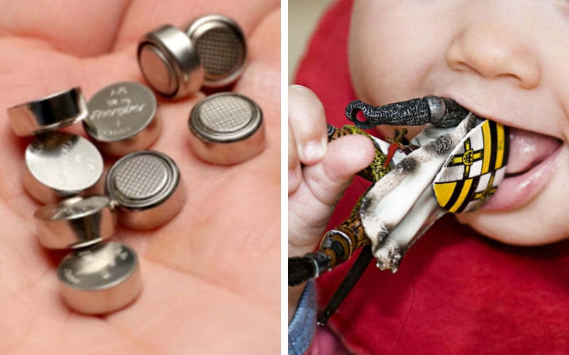 Một số quà có thể không an toàn hoặc không phù hợp. Một số quà có thể không an toàn hoặc không phù hợp.