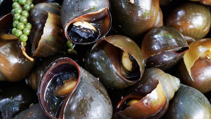 Ốc đem ướp trước giúp ốc thấm gia vị hơn