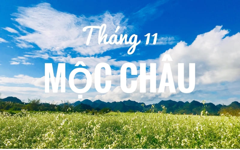 Thời tiết Mộc Châu tháng 11 se lạnh, dễ chịu. Thời tiết Mộc Châu tháng 11 se lạnh, dễ chịu.