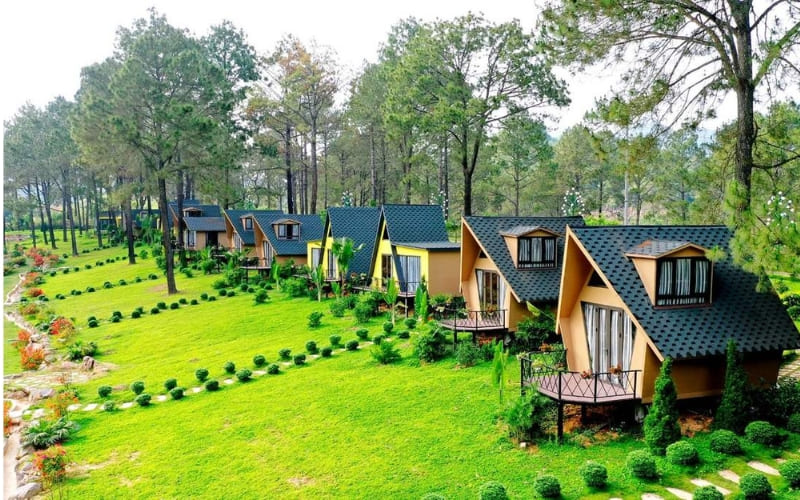 Rừng thông Bản Áng mang không khí trong lành. Rừng thông Bản Áng mang không khí trong lành.