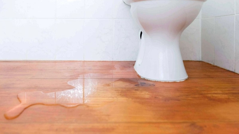 Quan sát kỹ các vị trí nối và khu vực quanh chân bồn cầu để phát hiện dấu hiệu rò rỉ nước Quan sát kỹ các vị trí nối và khu vực quanh chân bồn cầu để phát hiện dấu hiệu rò rỉ nước